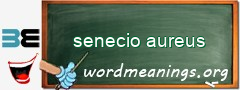 WordMeaning blackboard for senecio aureus